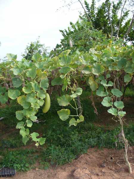 A Slice Of Paradise!