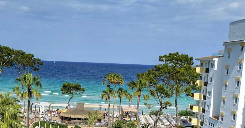 A Spanish Look Book!!