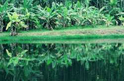 A Trip to chikmaglur