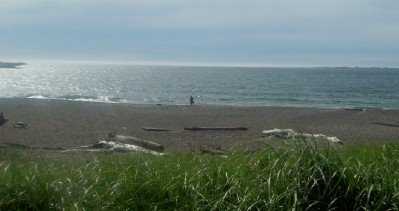 A Trip To The Beach And Cioppino