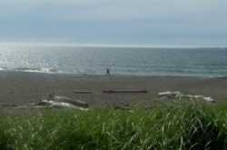 A Trip to the Beach and Cioppino