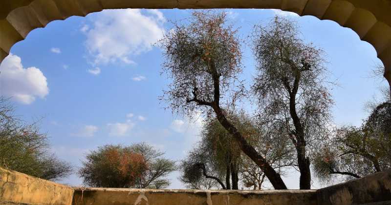 A View To The Starry Kareel