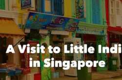 A Visit to Little India in Singapore