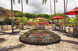 A Visual Treat From Maui Island of Hawaii