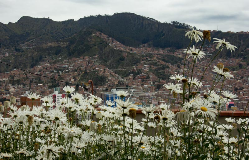 A Walking Tour Of La Paz