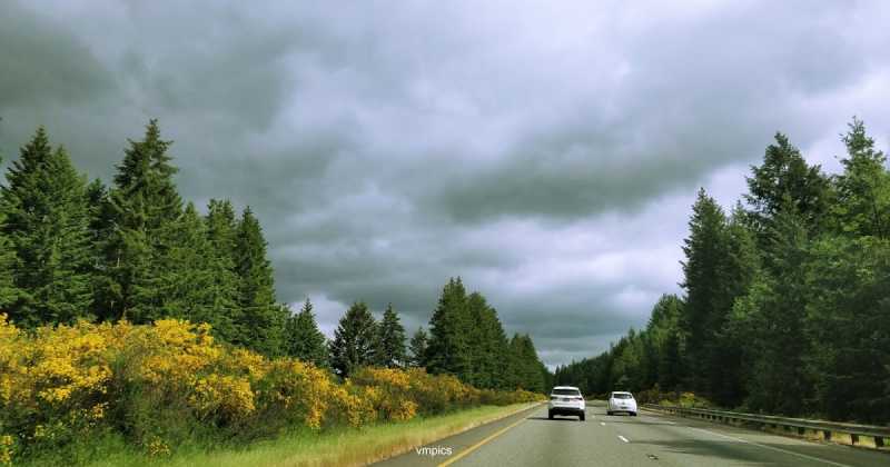 A Weekend At Olympic National Park