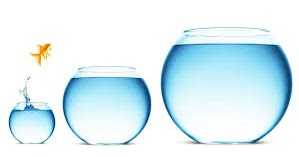 A Century Of Donors, Maiden Award And Much More At Kalpavriksha