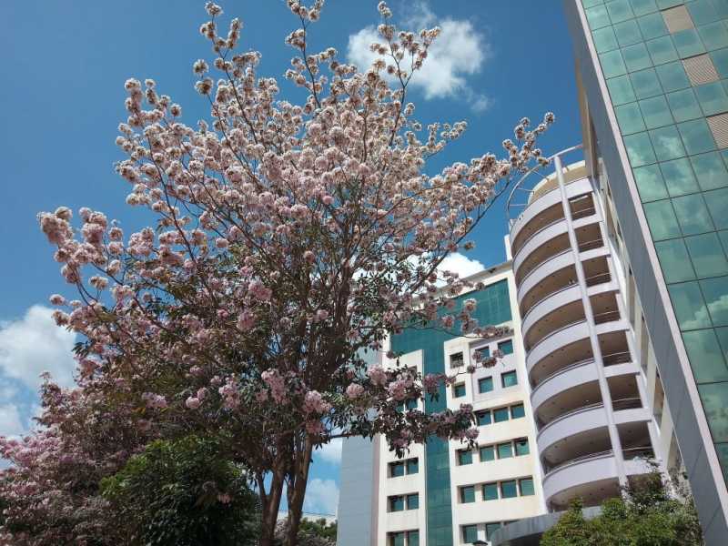 A Change For Better !?