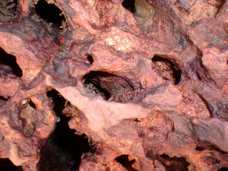 A Closer View Of Sea Stones