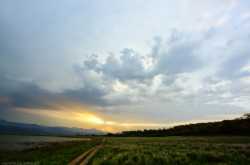 A day in Grasslands , a rendezvous with elephants  