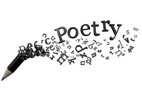 A Dedication To Poetry