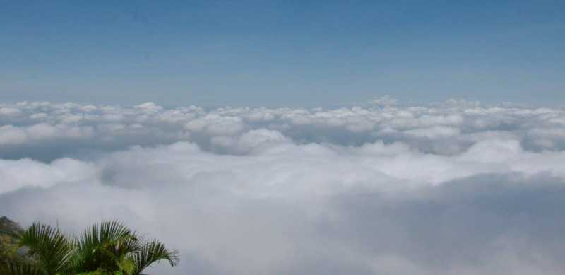 A Detailed Travel Guide For A Road Trip From Bengaluru To Yercaud With Family