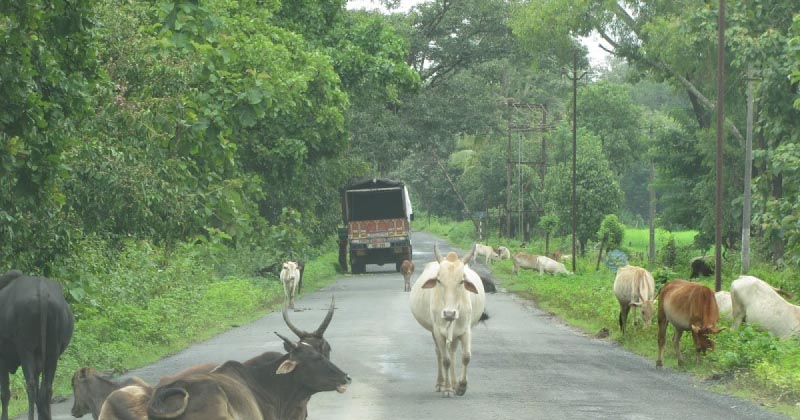 A Different Perspective.