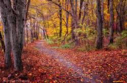 A dole of broken serendipity