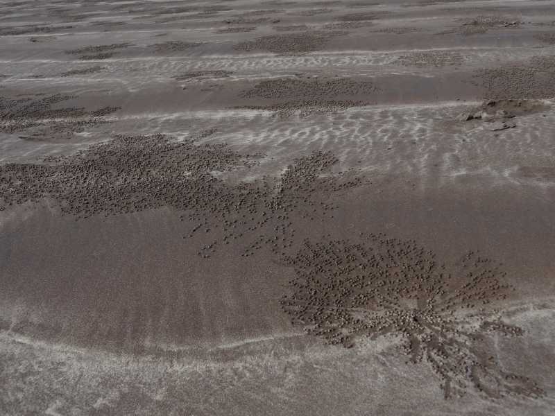 A Drive To Divé Aagar