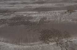 A drive to Divé Aagar