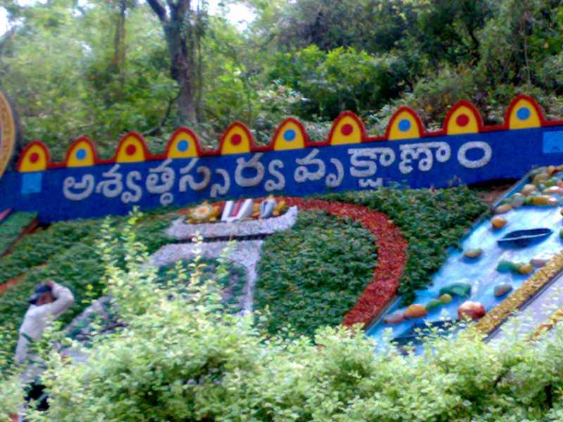 A Favourete Location