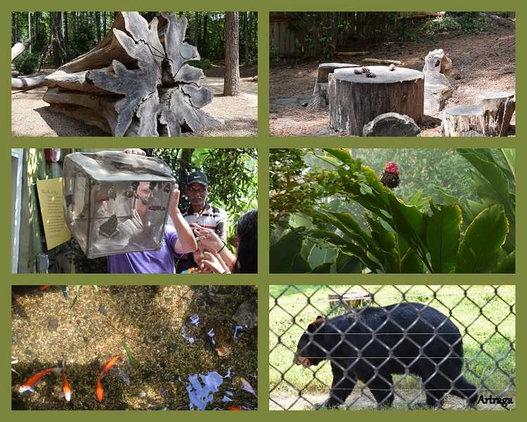 A Fun Day At The Museum Of Life And Sciences, Durham
