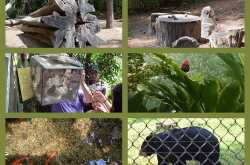 A fun day at the Museum of Life and Sciences, Durham