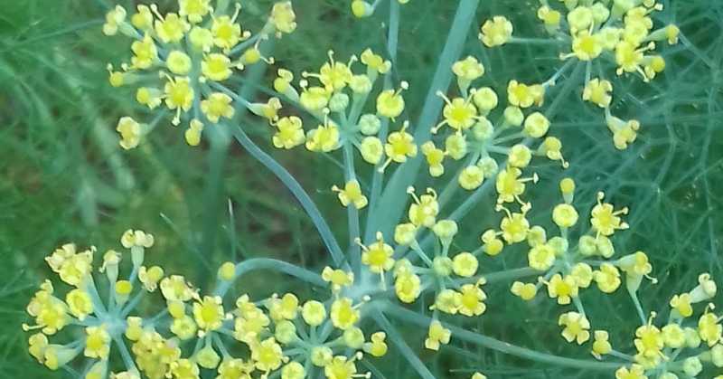 A Gratifying Journey