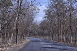 A great trip to Palace City of India- Mysore and UNESCO World Heritage Site- Hampi| Road Trip| 1300 Kms| 2 Days