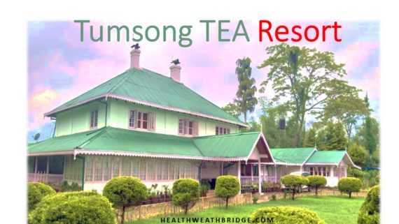 A Half Yearly Review (Life