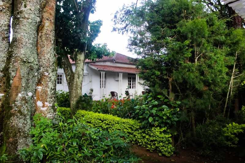 A Holiday At Wallwood Garden In Coonoor
