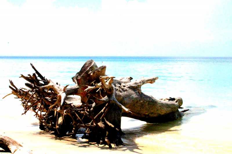 A Journey To The Sea.........