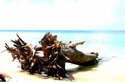 A journey to the Sea.........