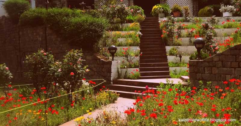 A Journey To The Hills : Solan Diaries! Part 1