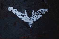 A knight,A burglar and A terrorist