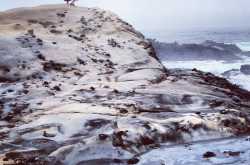 A letter to my ailing Grandfather