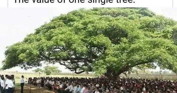 A Letter To The Prime Minister Of India