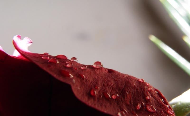 A Little Bit About Us!