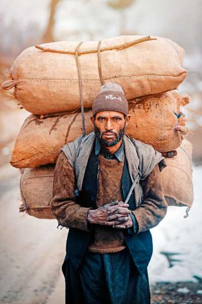 A Man Carrying Heavy Load In Kashmir