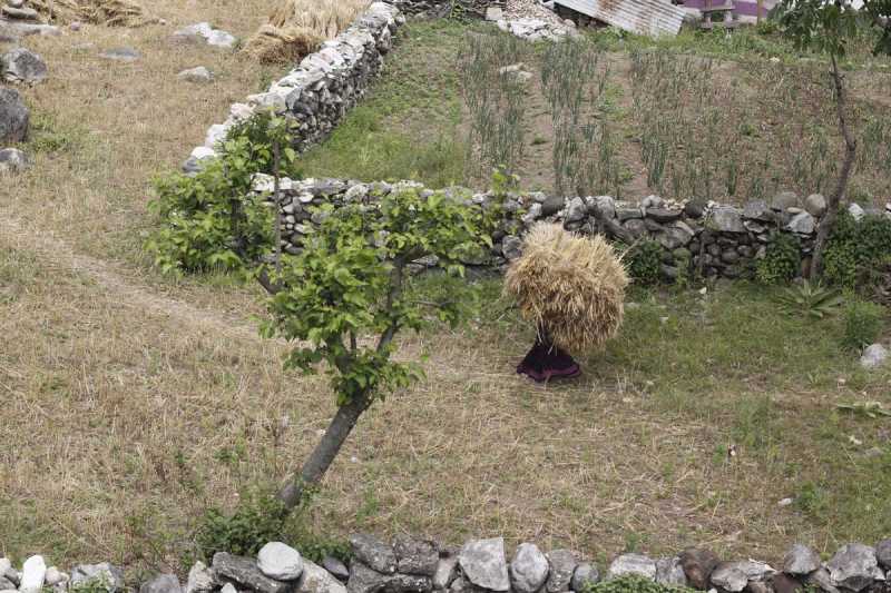 A Month In Uttarkashi, Himalayas 