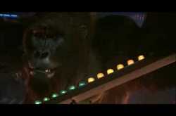 A movie memory, a gorilla and some questions