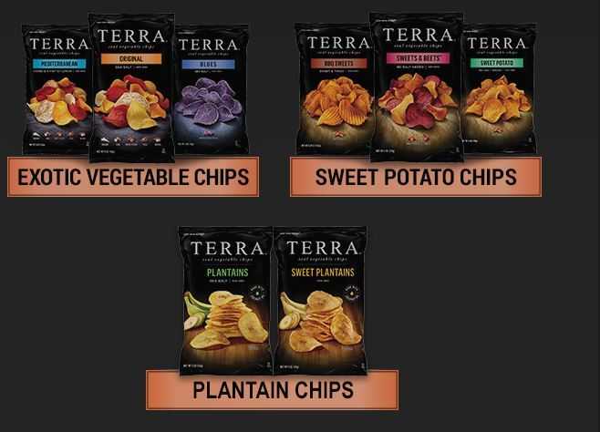 A New Adventure For Your Tongue - TERRA CHIPS