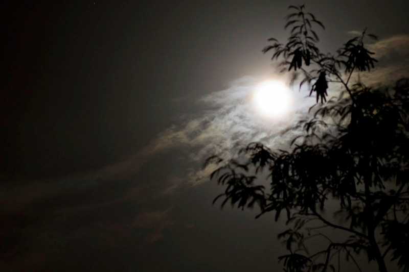 A Night Which Never Ended !!