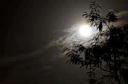 A night which never ended !!