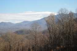 A page from Jungle Book