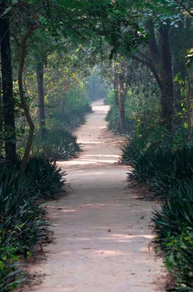A Photowalk At Deer Park, Hauzkhas