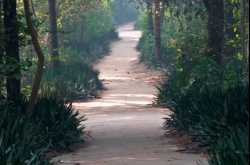 A photowalk at Deer park, Hauzkhas