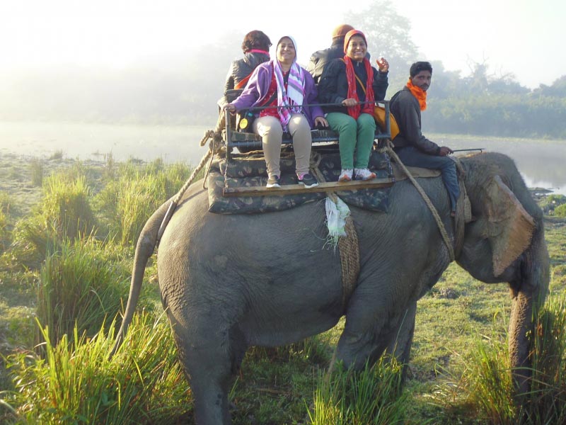 A Place Between Surreal & Real