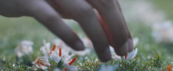 A Poem About Waiting Through The Movie October