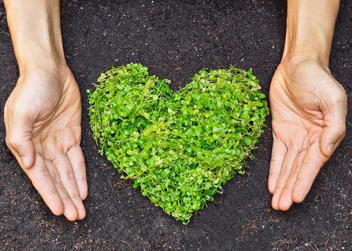 A Point To Ponder Upon…