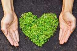 A point to ponder upon…