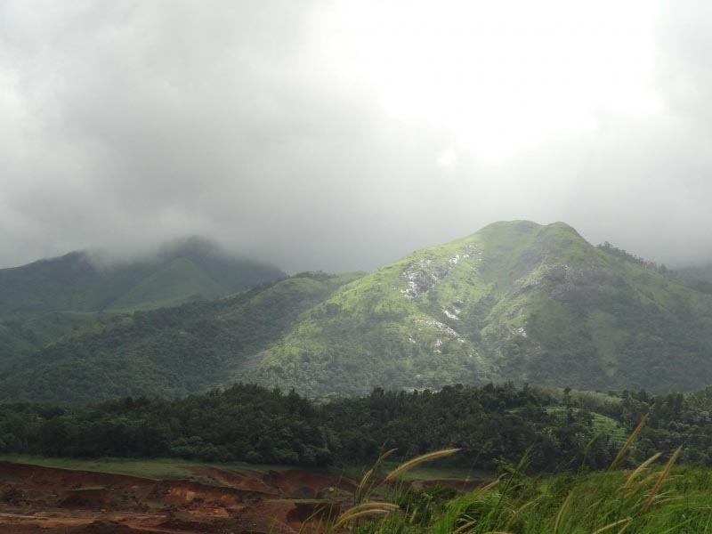 A Rainy Trip To Wayanad