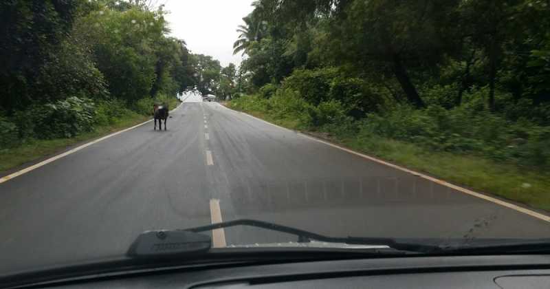 A Road Trip To Cherish-3