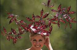 A royal affair of sorts